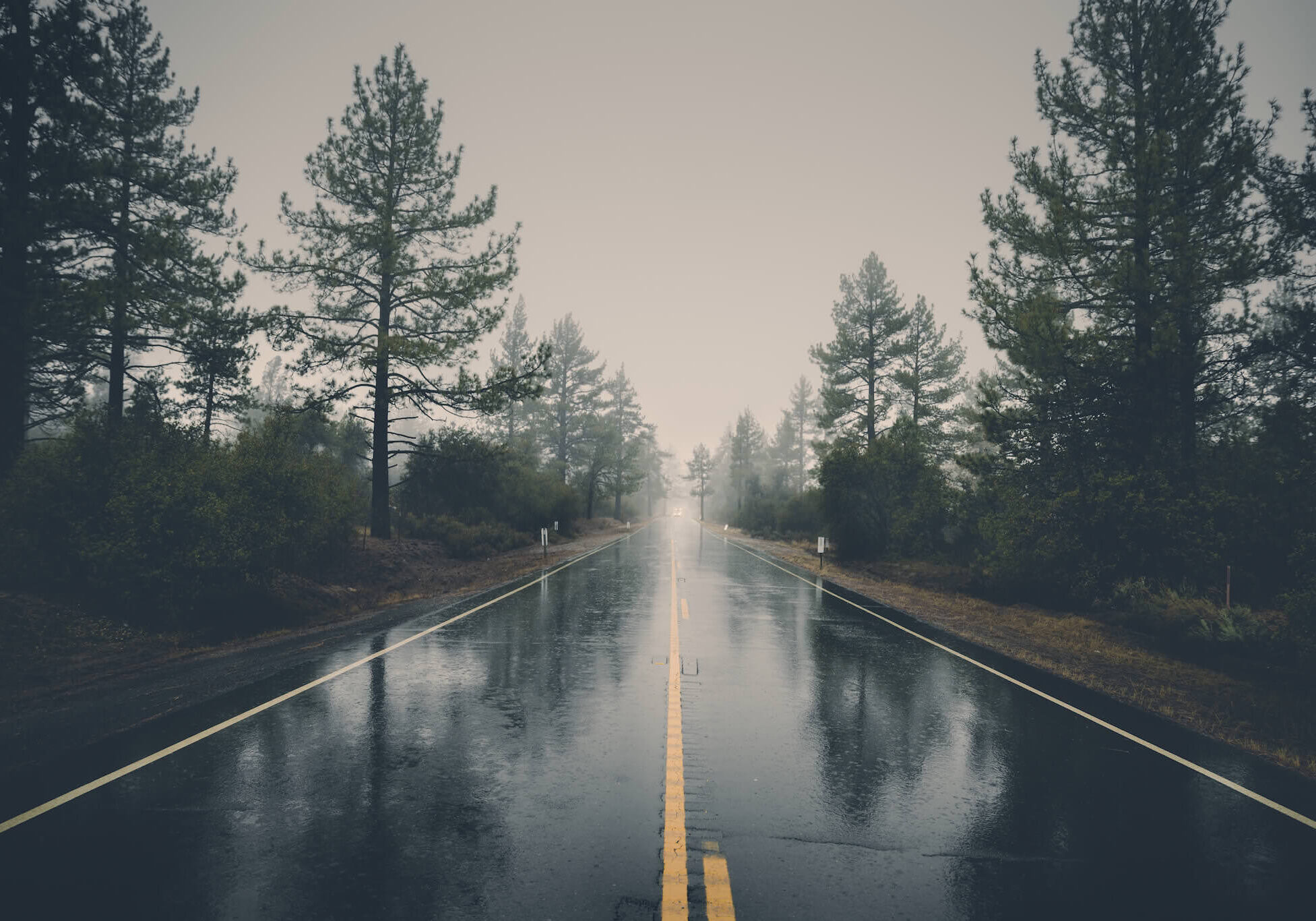 rainy-road